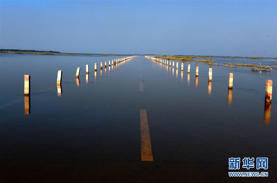 鄱阳湖水位上涨 再现“最美水上公路”