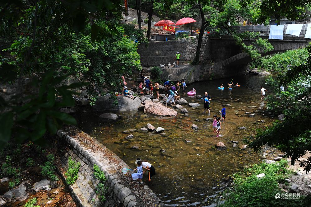 高清：中午头29℃ 崂山北线市民溪水避暑超嗨