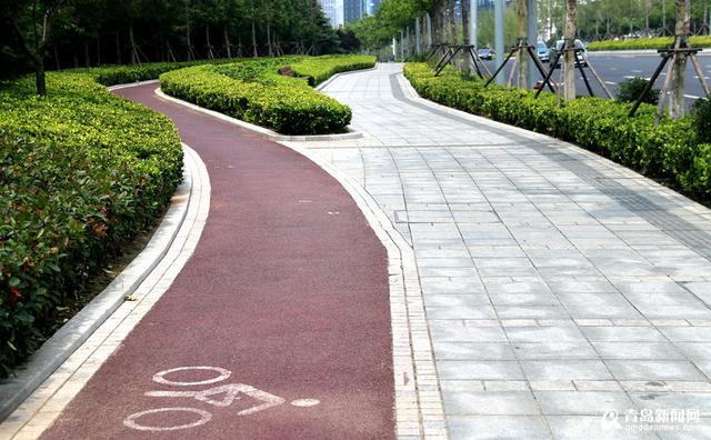 探访崂山区公共自行车 自助骑行畅游崂山