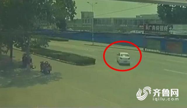 女子顺走“天价”蝴蝶花：价值2000万(图)