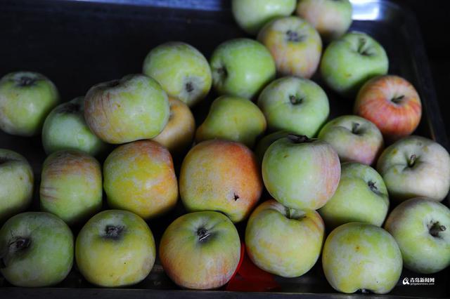 高清:一大拨夏日时令崂山美食 你看哪个最地道