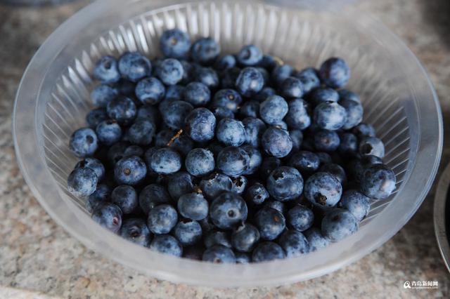 高清:一大拨夏日时令崂山美食 你看哪个最地道