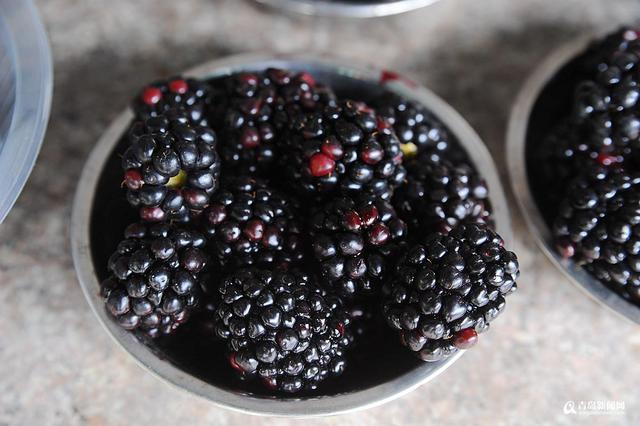 高清:一大拨夏日时令崂山美食 你看哪个最地道
