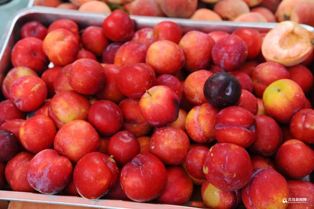 高清:一大拨夏日时令崂山美食 你看哪个最地道