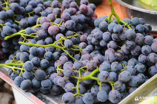高清:一大拨夏日时令崂山美食 你看哪个最地道
