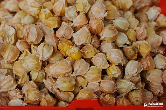 高清:一大拨夏日时令崂山美食 你看哪个最地道