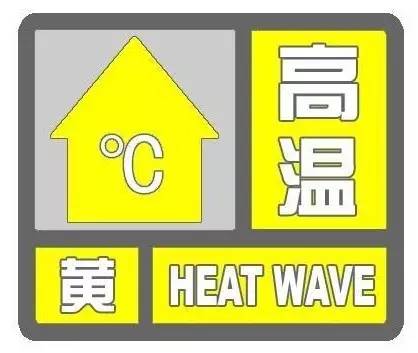 重庆小哥用太阳能煎蛋 蛋没熟人先晕过去(图)