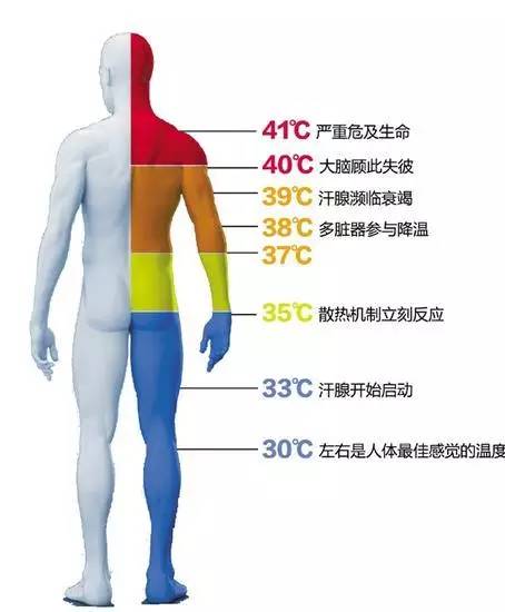 重庆小哥用太阳能煎蛋 蛋没熟人先晕过去(图)