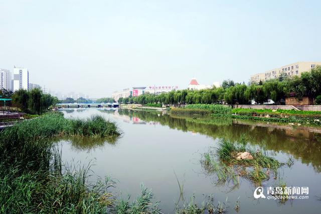 李村河君峰路至峰山路段竣工 变身'水印绿廊'