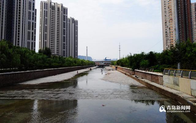 李村河君峰路至峰山路段竣工 变身'水印绿廊' 李村河君峰路至峰山路段竣工 变身'水印绿廊'