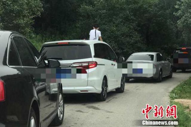野生动物园频曝游客违规事件 教训深刻为何屡禁不止 野生动物园频曝游客违规事件 教训深刻为何屡禁不止