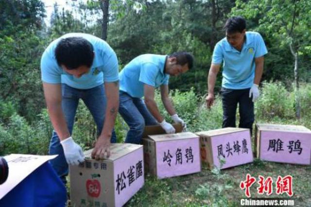 野生动物园频曝游客违规事件 教训深刻为何屡禁不止 野生动物园频曝游客违规事件 教训深刻为何屡禁不止