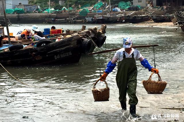 高清：探访特色海蜇第一村 黄山海蜇宴最馋人