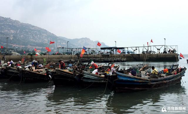 高清：探访特色海蜇第一村 黄山海蜇宴最馋人
