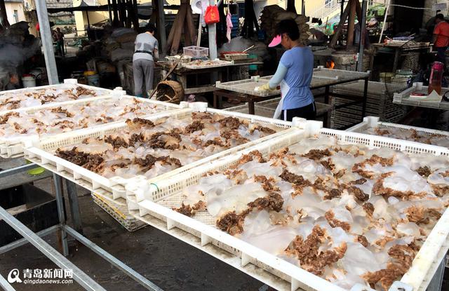高清：探访特色海蜇第一村 黄山海蜇宴最馋人