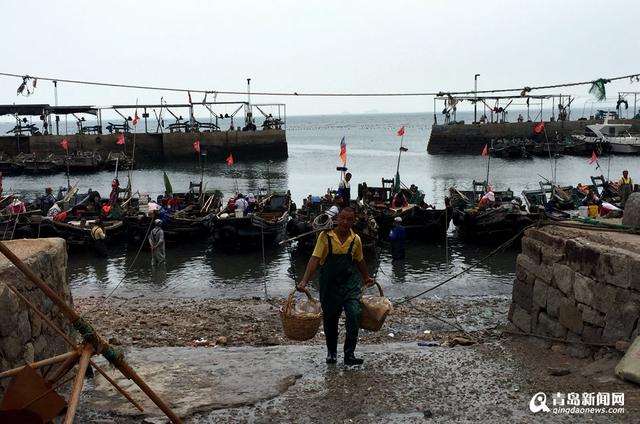 高清：探访特色海蜇第一村 黄山海蜇宴最馋人