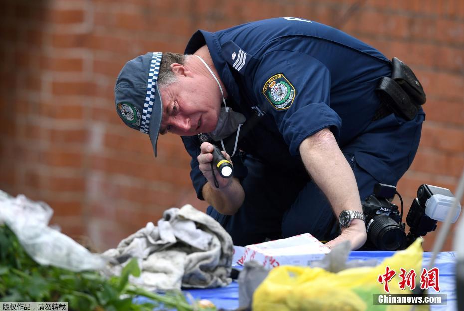 澳大利亚警方挫败一起企图炸毁飞机阴谋