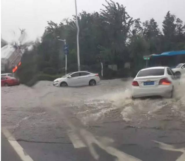 青岛暴雨倾盆 这些易积水路段要注意！(图)