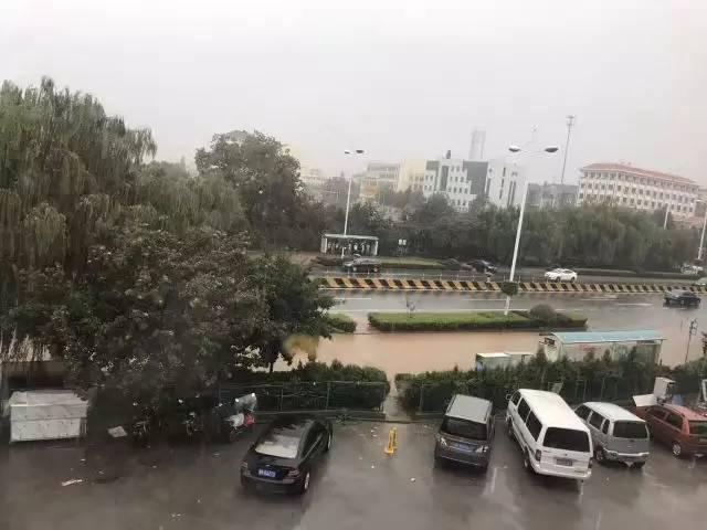青岛暴雨倾盆 这些易积水路段要注意！(图)