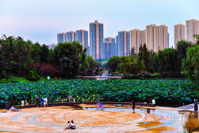 晚风沉醉夜凉如水 实拍李村河上游夜景(组图)