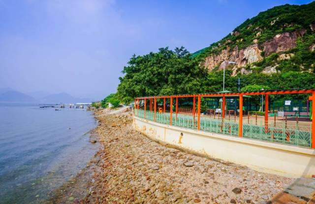 香港要通高铁啦!青岛出发最快11小时到