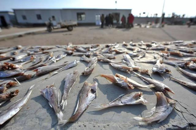 外地人眼中的青岛十大“怪” 真有这么神奇吗