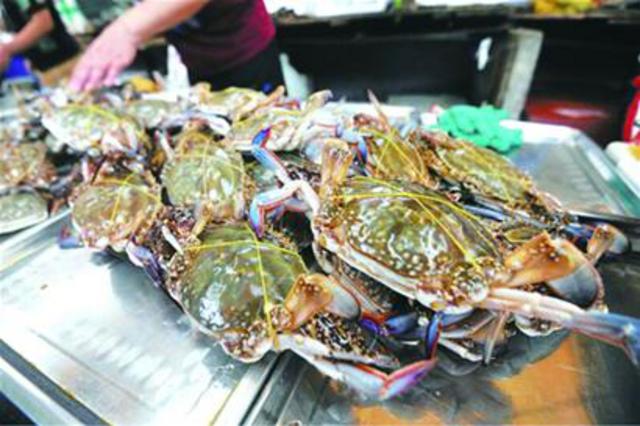 每天超10万斤南方梭蟹进青 平均每斤25元 每天超10万斤南方梭蟹进青 平均每斤25元