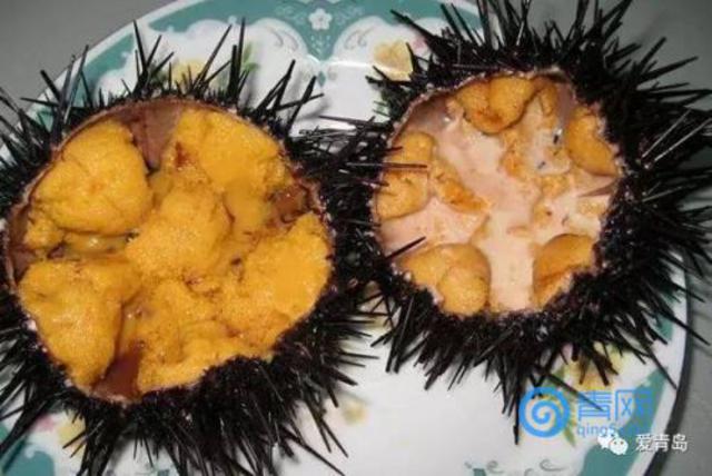 螃蟹海螺对虾 8月青岛这些海货最肥美 螃蟹海螺对虾 8月青岛这些海货最肥美