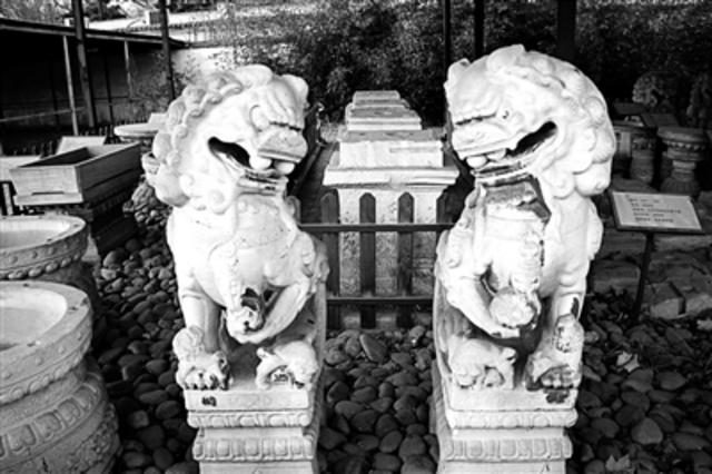 圆明园石狮子口中石球二变一 文物部门：正调查