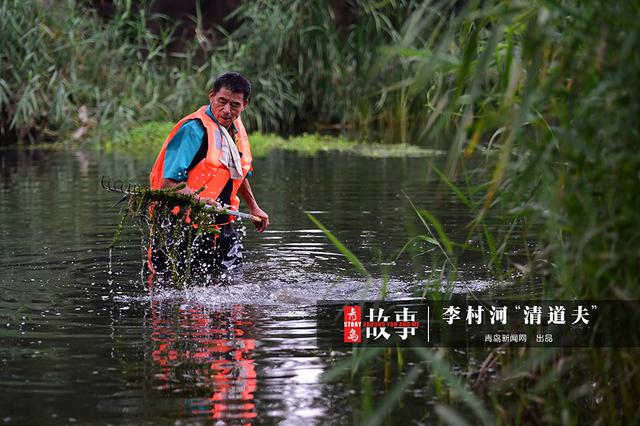 【青岛故事】李村老'河神':泡在水里守护清流