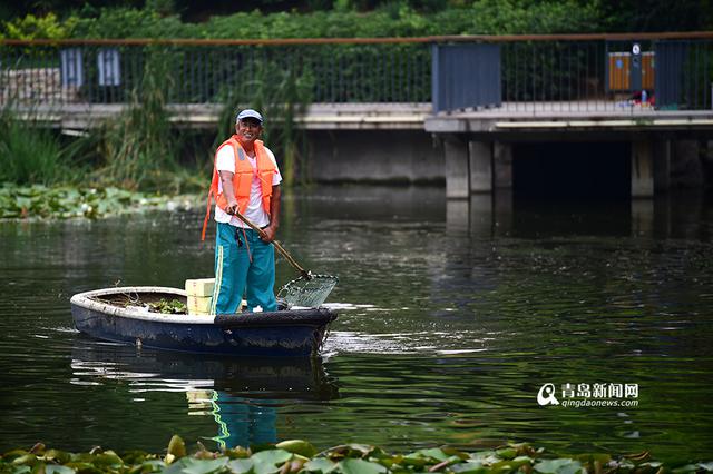 【青岛故事】李村老'河神':泡在水里守护清流