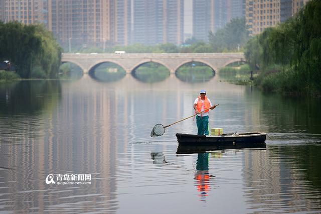 【青岛故事】李村老'河神':泡在水里守护清流 【青岛故事】李村老'河神':泡在水里守护清流