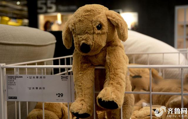 山东首个宜家21日开业 带你Get剁手攻略