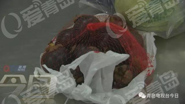 游客带回日本知了猴被截获 欲带回家食用