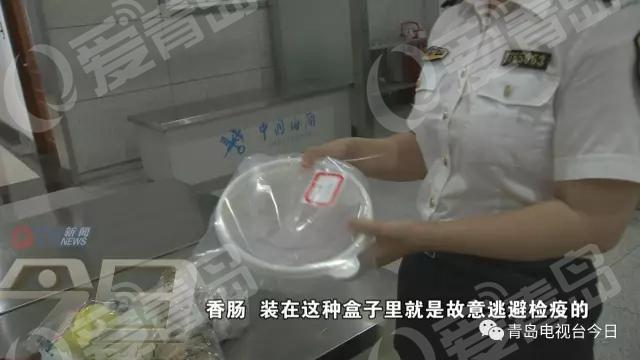 游客带回日本知了猴被截获 欲带回家食用