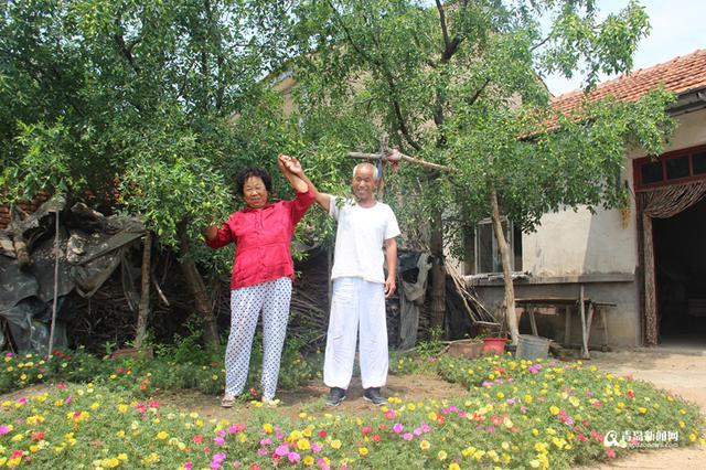 胶州剪纸大妈张振淑:一把小剪刀刻画60载人生