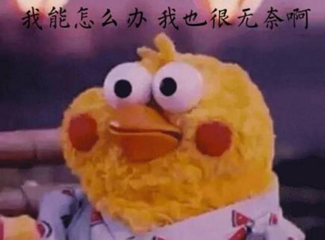 大学生驾驶共享汽车肇事逃逸 被拘后称没钱赔