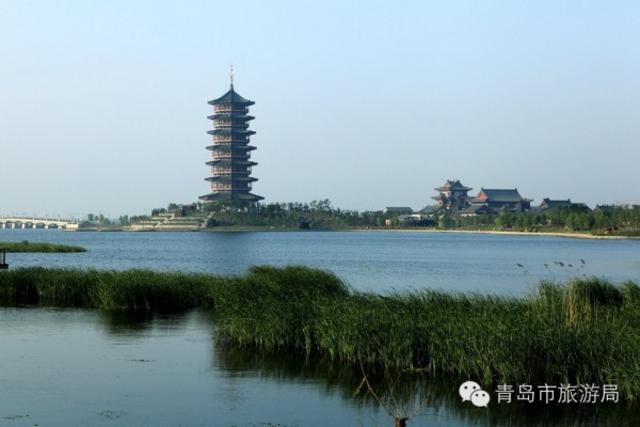 三月青岛踏春游15大圣地