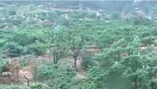 男子失踪8天 山洼内发现尸体 已面目全非 男子失踪8天 山洼内发现尸体 已面目全非