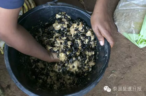 泰国现象屎咖啡 比猫屎咖啡贵一倍多