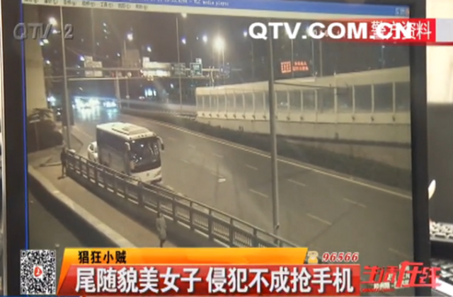 19岁青年遇美女起歹心 侵犯不成抢手机