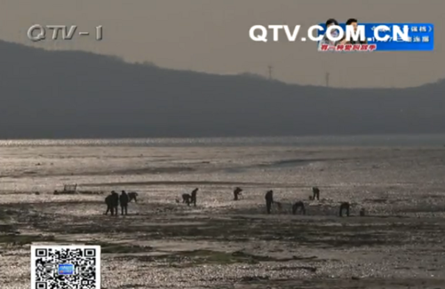 冬天赶海有技巧 市民两三小时收获不少