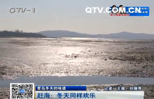 冬天赶海有技巧 市民两三小时收获不少