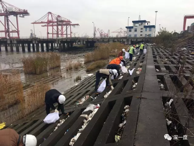海事人员和志愿者前往清理被冲上堤岸的垃圾