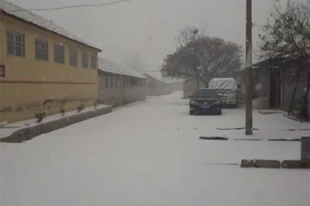 最新：青岛迎降雪道路湿滑 出行注意安全