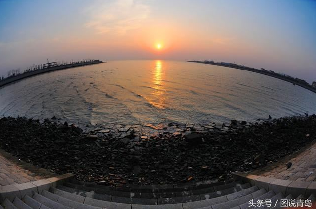 胶州湾成候鸟天堂 鸥鹭迁徙绘就春日美景