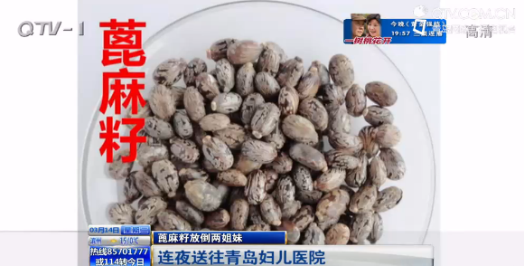 长得像豌豆实际含剧毒 蓖麻籽放倒两姐妹