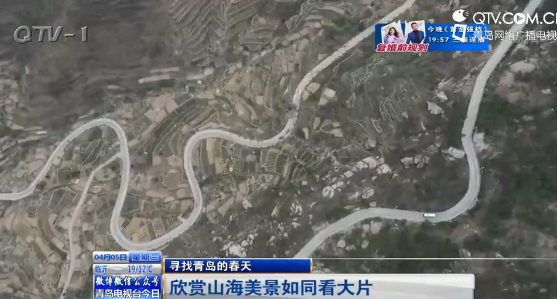 青岛最美最险公交线：拐608道弯 沿路就像看大片