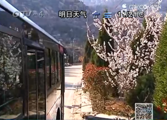 青岛最美最险的山路 一边是山一边是海 青岛最美最险的山路 一边是山一边是海