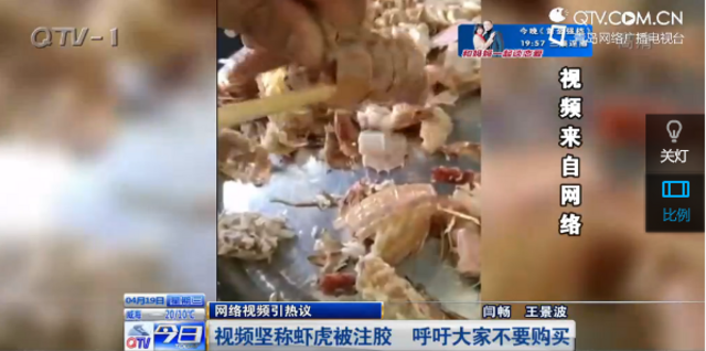 注胶皮皮虾视频走红 青岛吃货看完笑了
